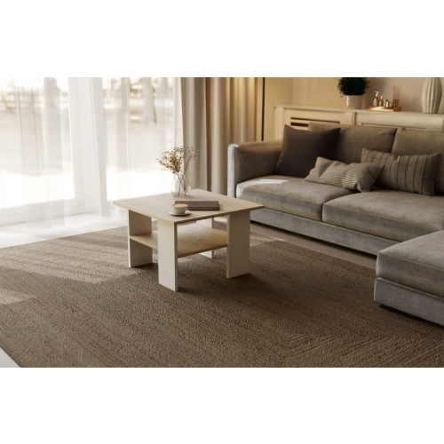 Stolik kawowy kwadratowy ST1 dąb sonoma/biały 60x60 cm